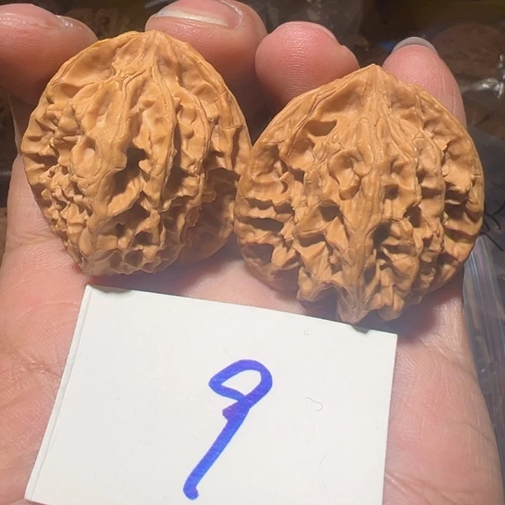 核桃全品无修蓟县梅花