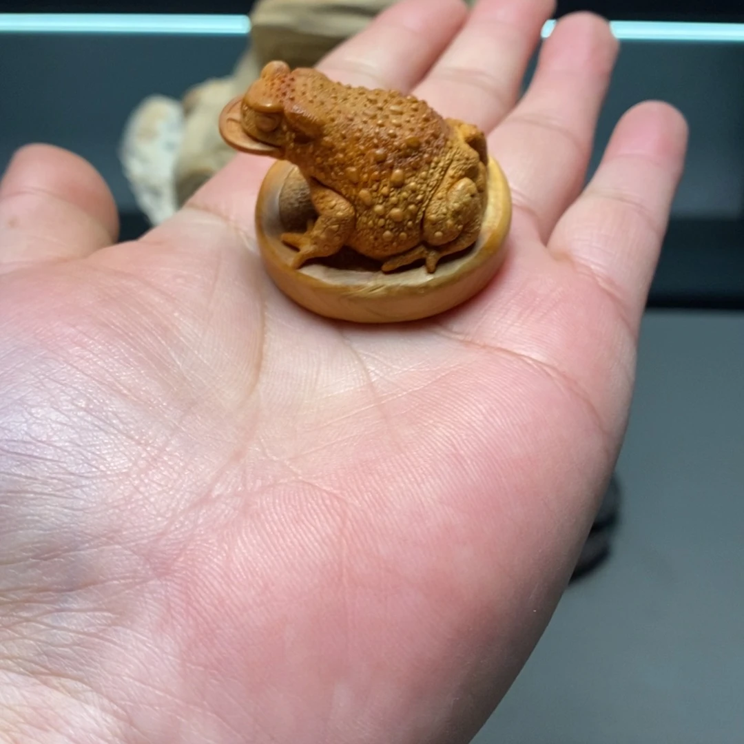 柏木（崖柏）崖柏根雕作品