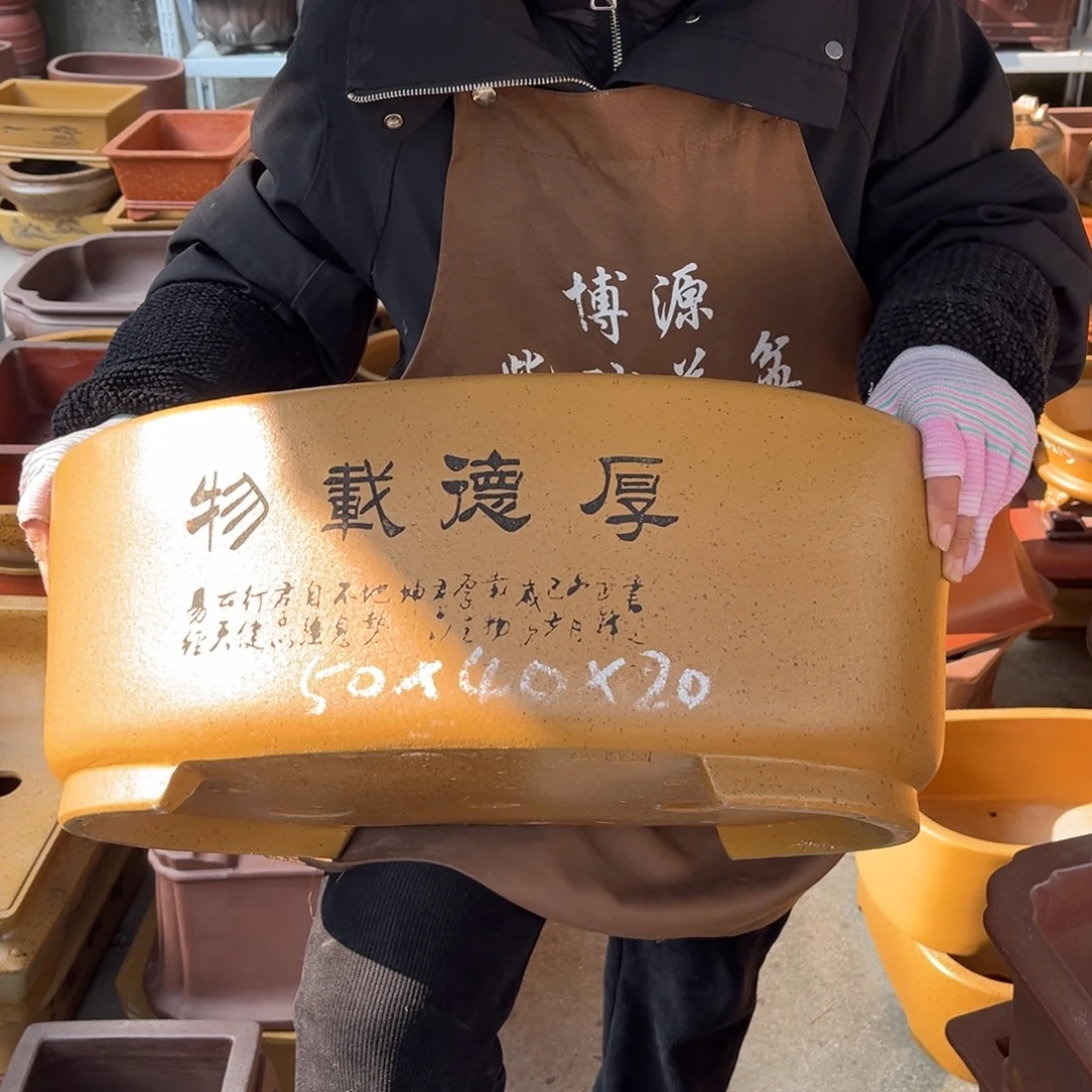 紫砂花盆盆景艺术