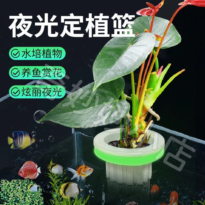 【宠大条】鱼缸夜光定植篮自动漂浮水培无土种植漂浮绿植鱼缸盆栽水