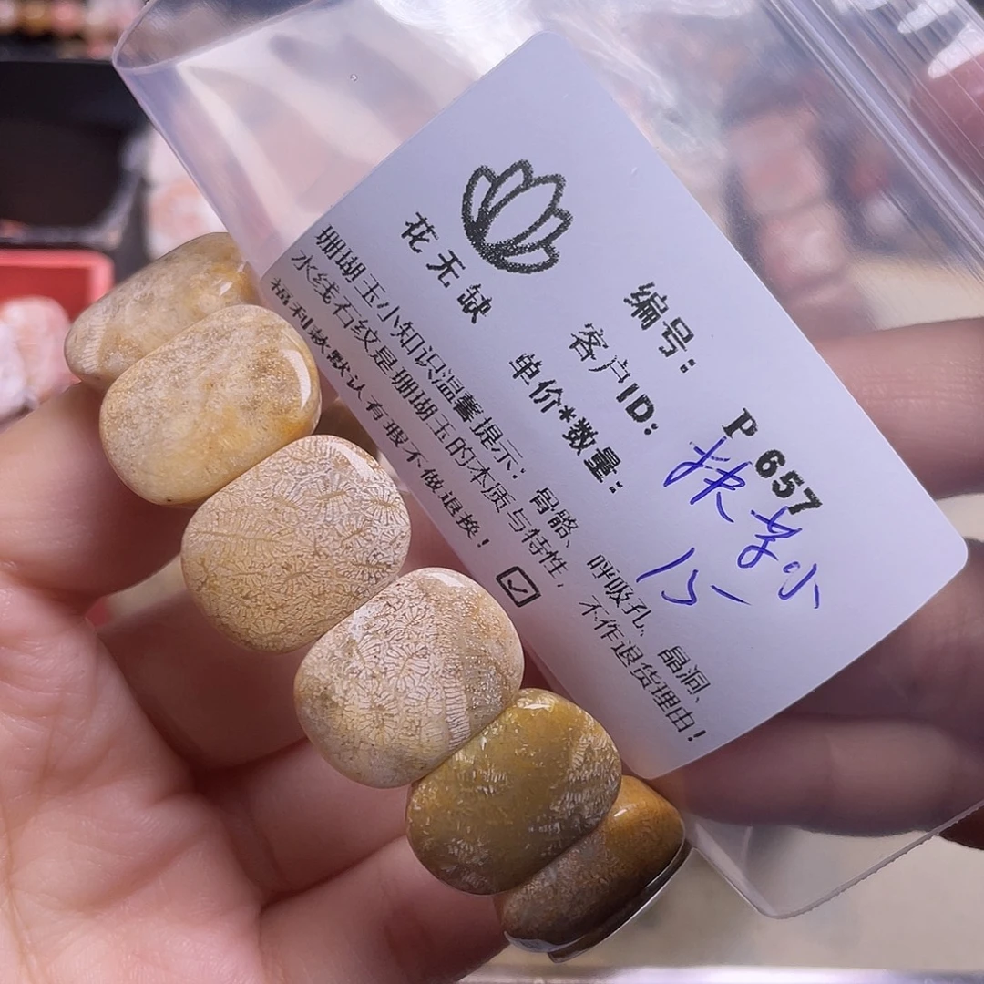 抹***仙未镶嵌手镯硅化玉