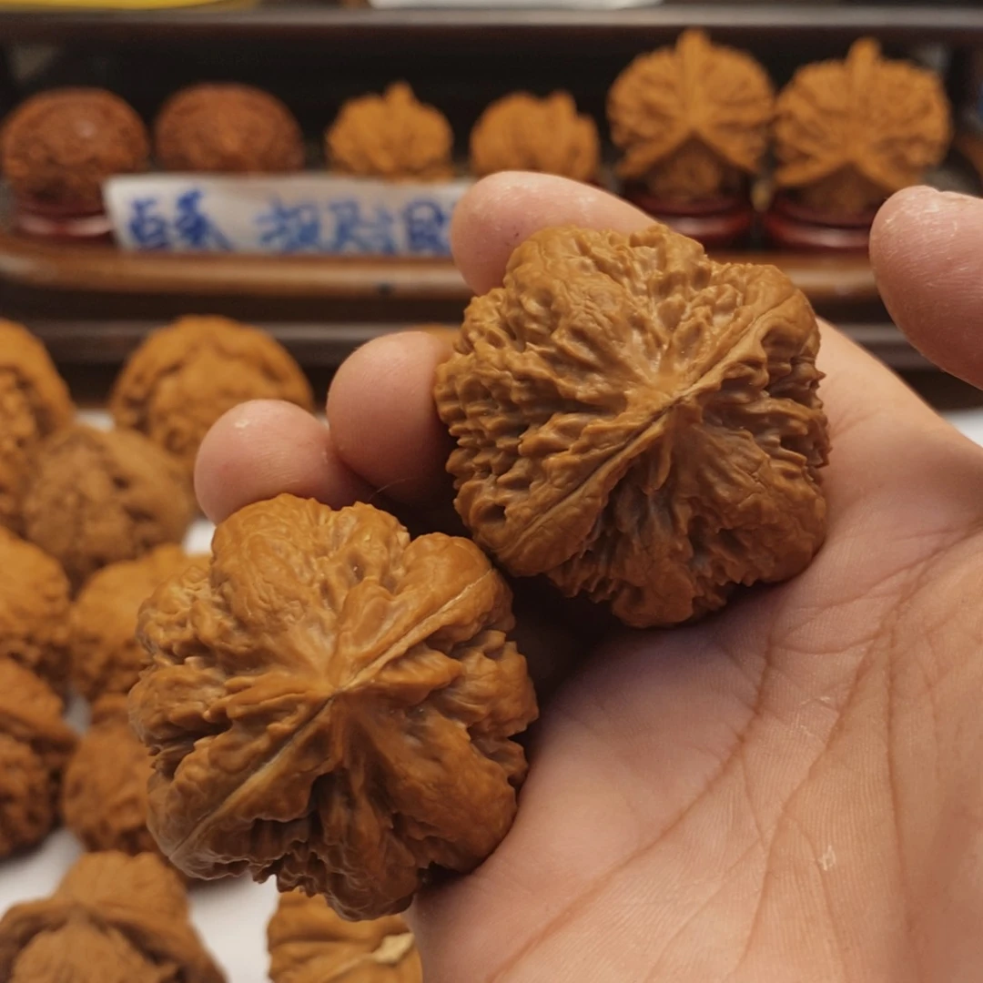 文玩核桃把件43尺霸王龙