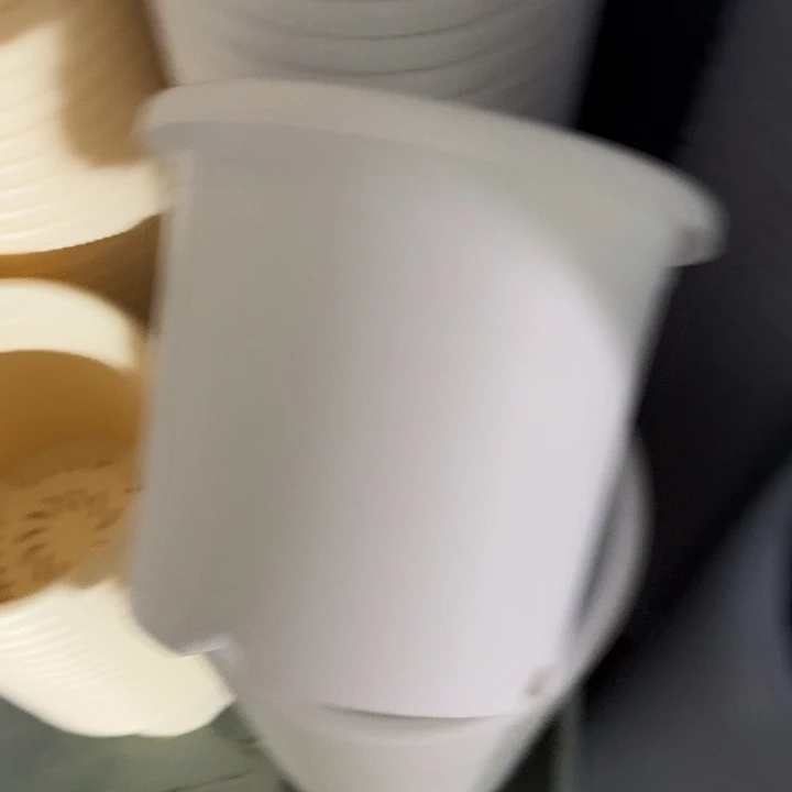 四季4号纯白无托10个特价