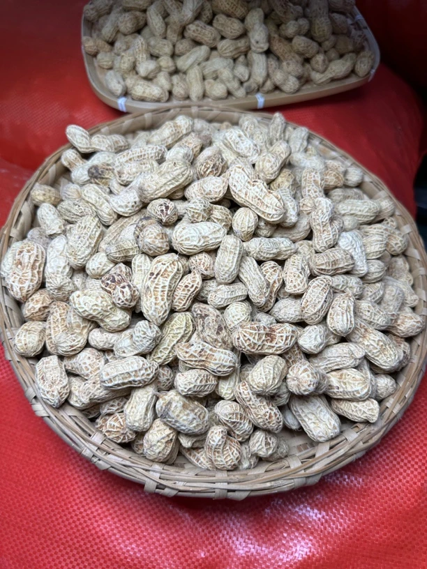 清姐同款咸花生烘干即食口感酥香有嚼劲