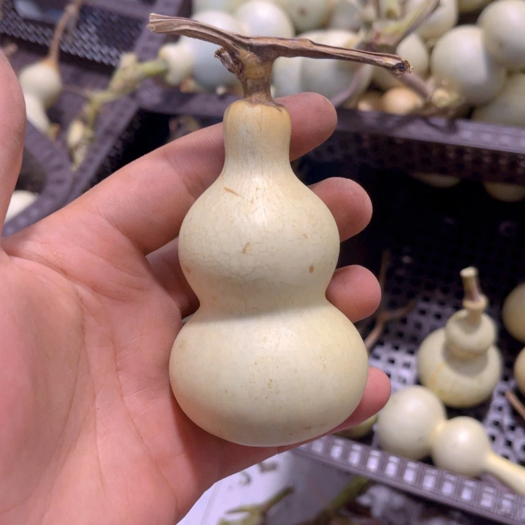 飞****感谢大哥支持兄弟不保