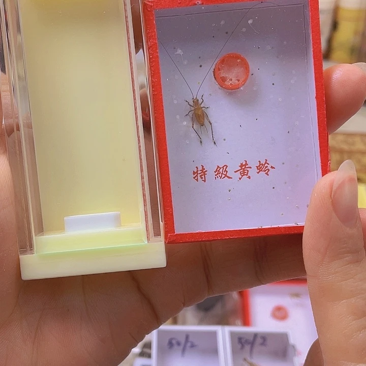 玻璃面板大黄玲盒子+精品大黄
