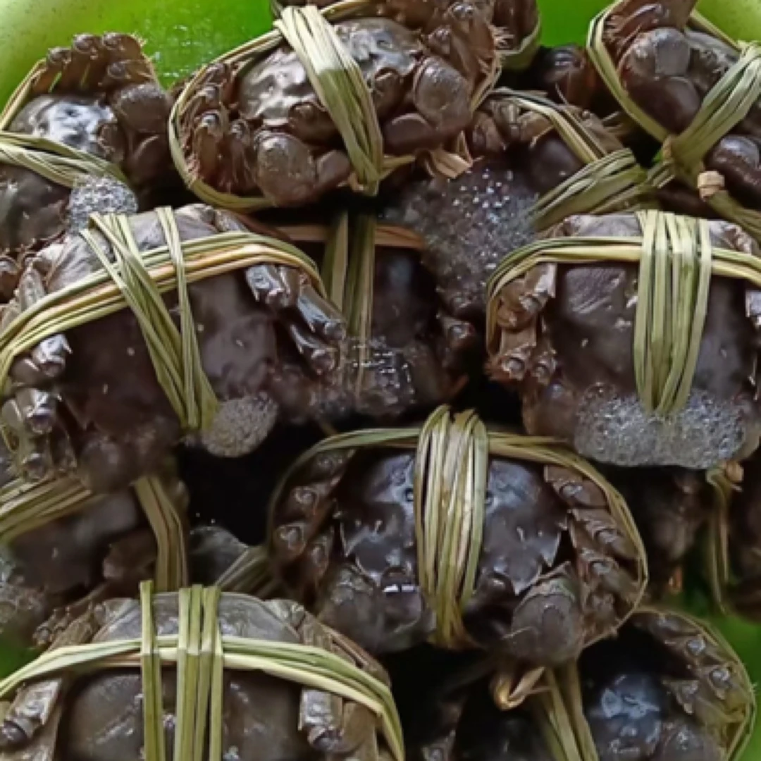 江苏精品六月黄 全母2斤 15只左右 鲜活发货