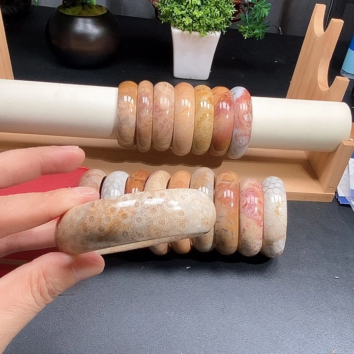 硅化珊瑚（珊瑚玉）未镶嵌颈饰