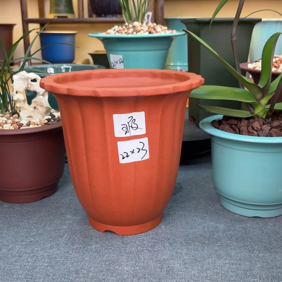 花盆紫砂兰花455885985985889