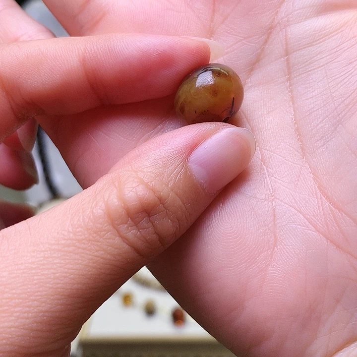 开***心裸石琥珀未镶嵌抚顺
