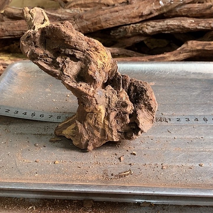 花梨木类北**线海南黄花梨