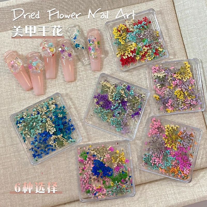 美甲干花饰品新款混装彩色天然小碎花素材秋冬指甲贴纸装饰品