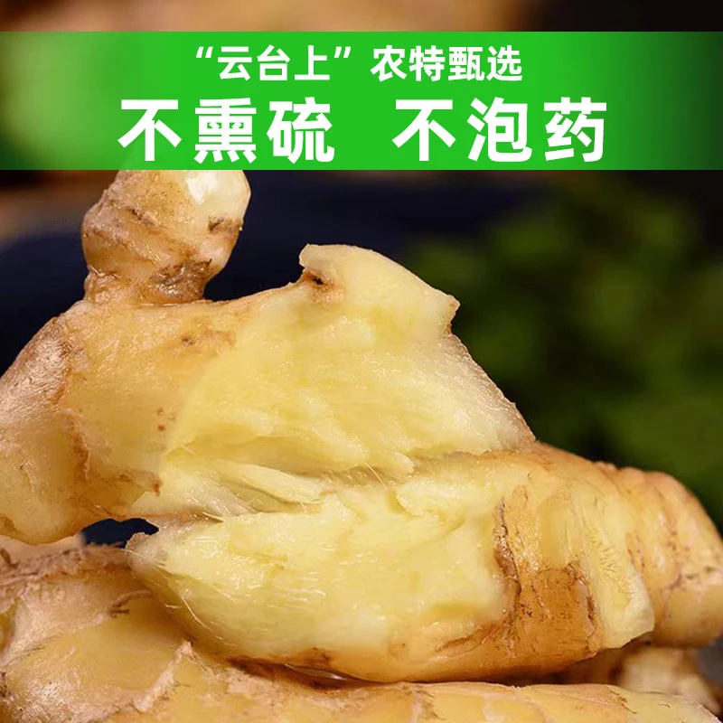 云南高山小黄姜产地直销新鲜生姜嫩仔姜小黄姜云南高山小黄姜