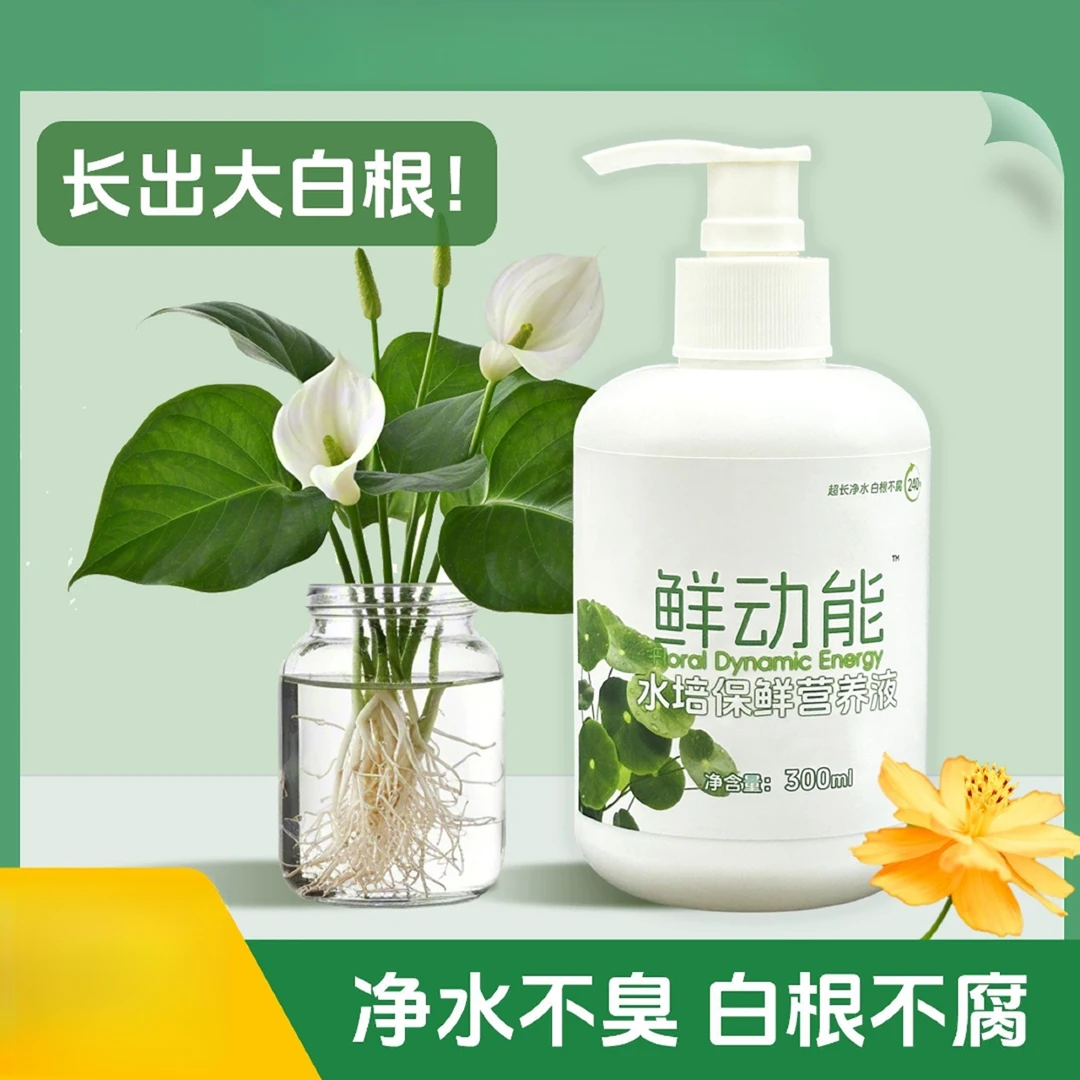 培植物专用保鲜营养液富贵竹铜钱草碗莲睡莲除绿藻