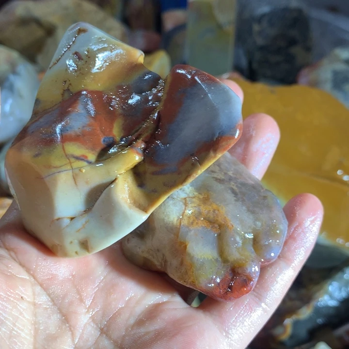 躲***猫寿山石888888888888