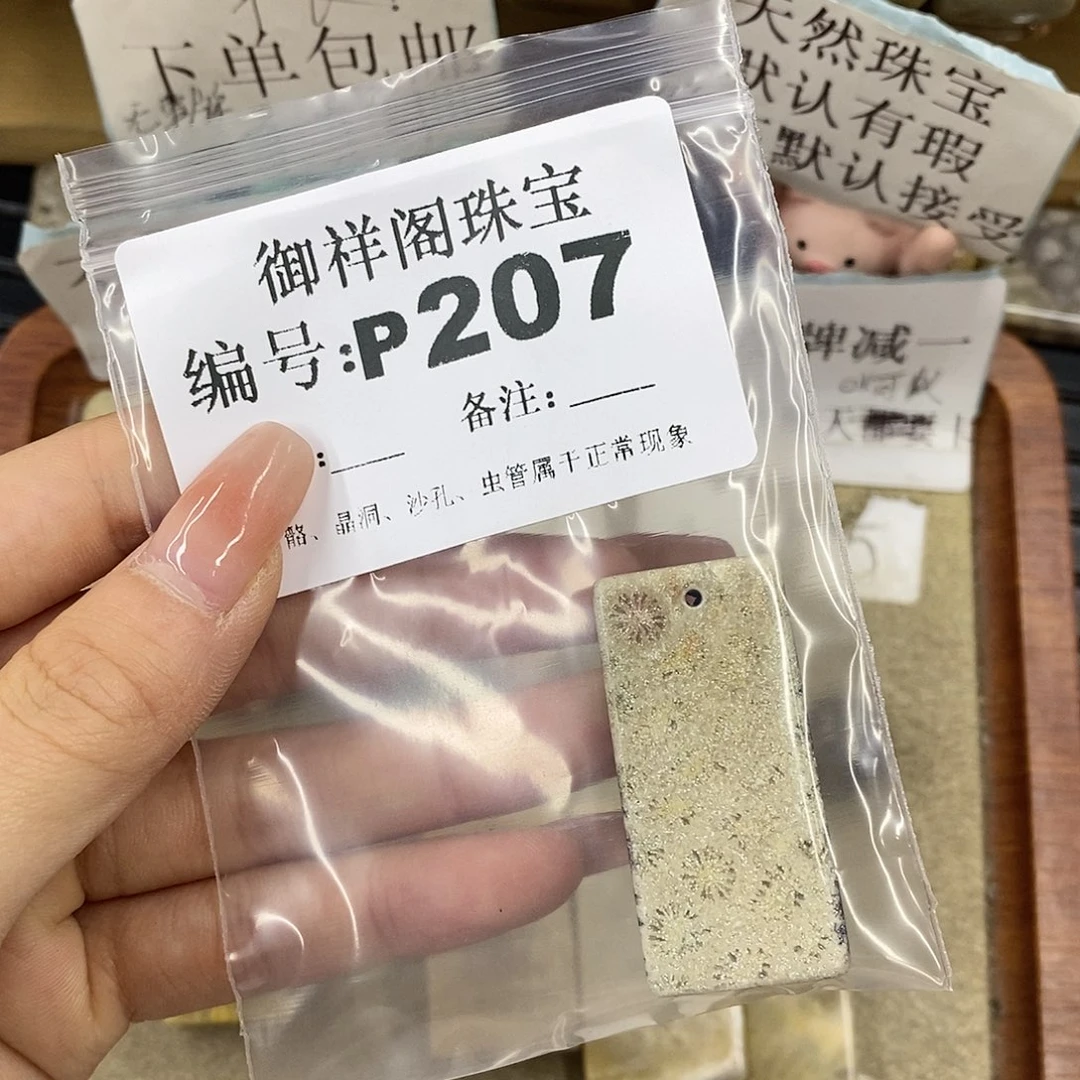 硅化珊瑚（珊瑚玉）未镶嵌颈饰枳*、