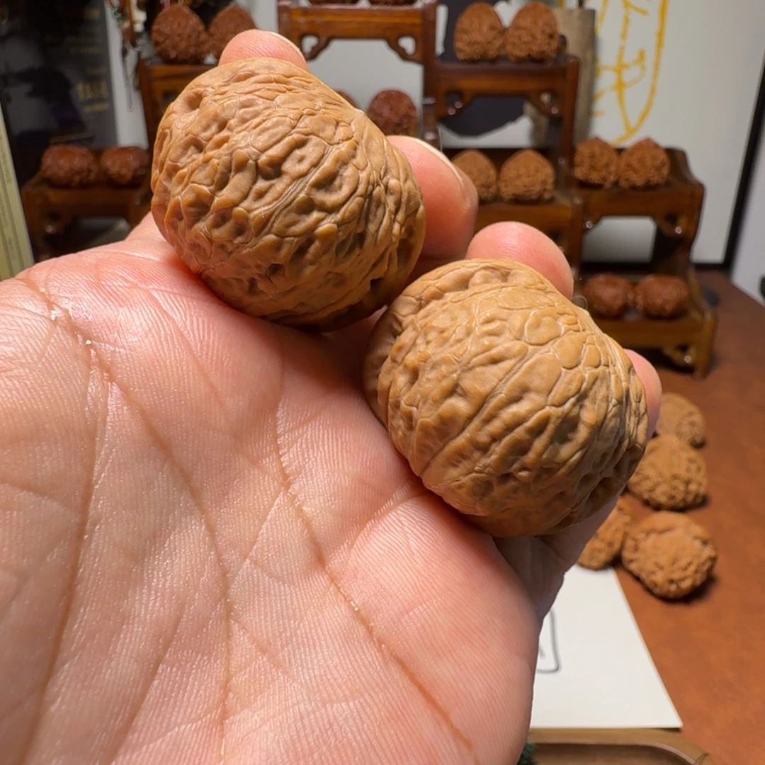 道哥俱乐部f全品铁锤39