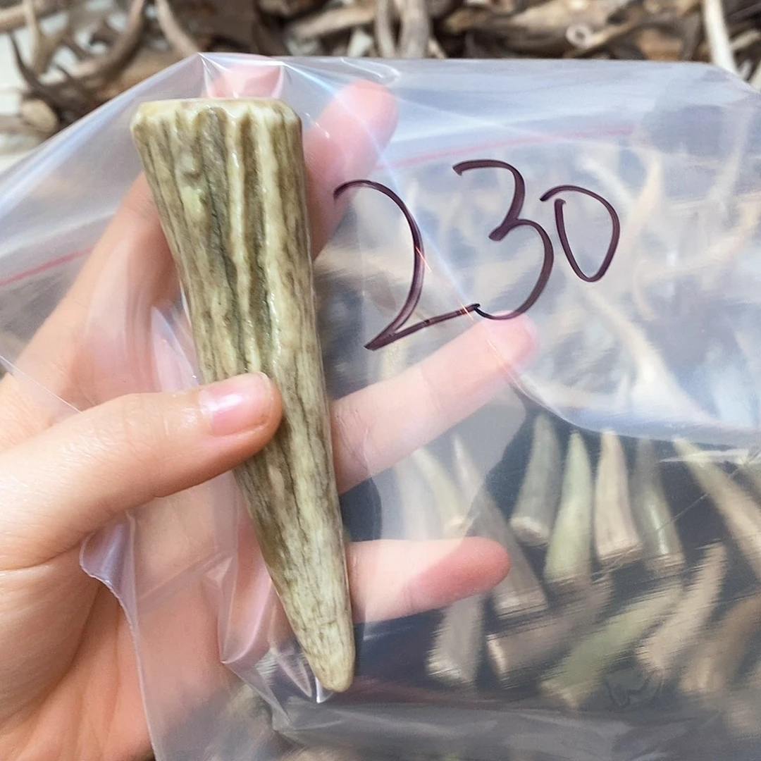 鹿角鹿角鹿角鹿角鹿