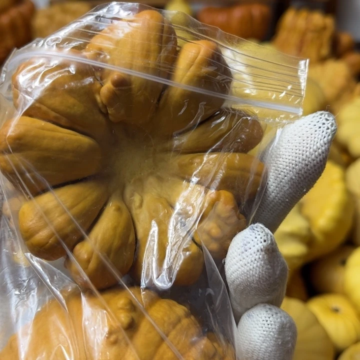 我的墨西哥七彩葫芦