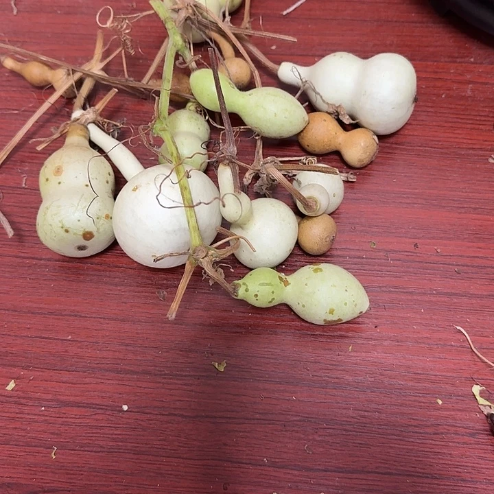 木***灬oydkhckhxoyxyoccyco