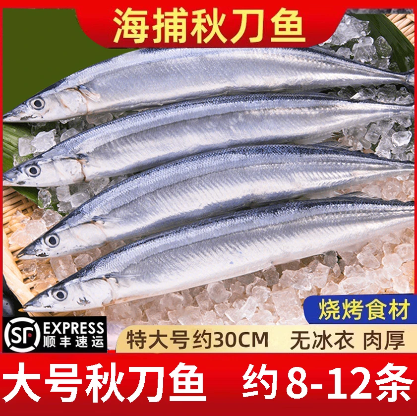 秋刀鱼新鲜冷冻商用整箱特大号烧烤料理海鲜水产鲜活深海鱼