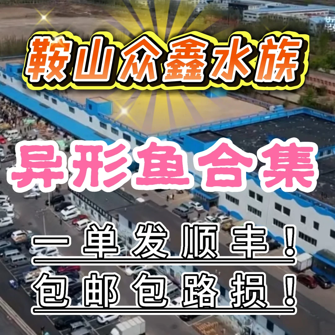众鑫水族 异型鱼合集 链接