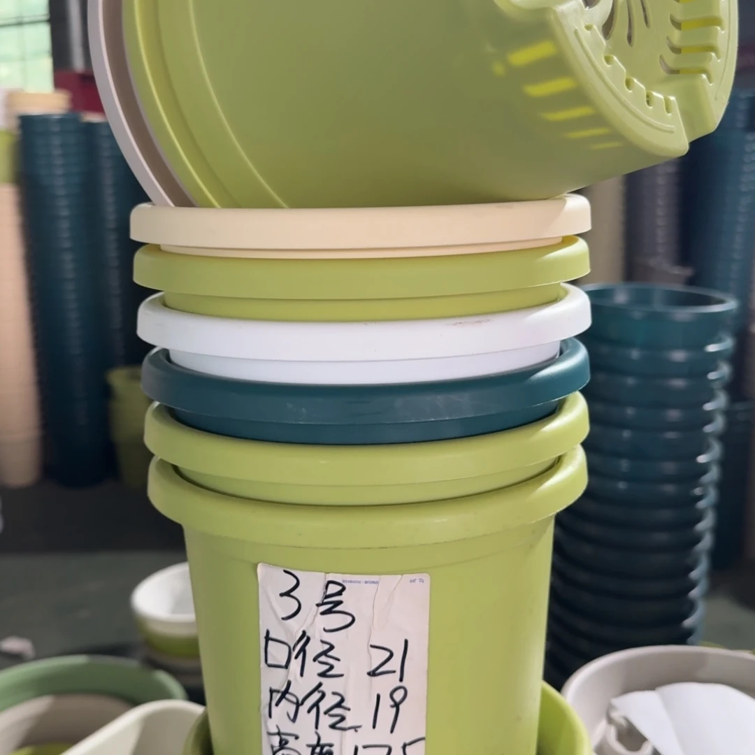 微瑕3#口径21无拖果绿10个