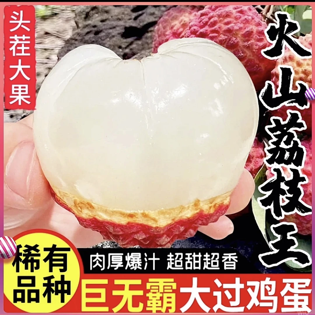 海南火山荔枝王新鲜精品大果现摘现发顺丰冷链