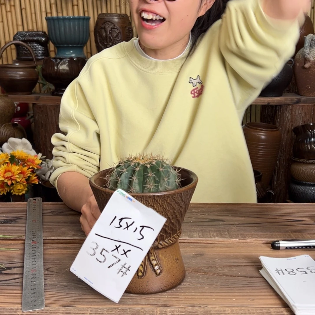 瑕疵35777777777777777777