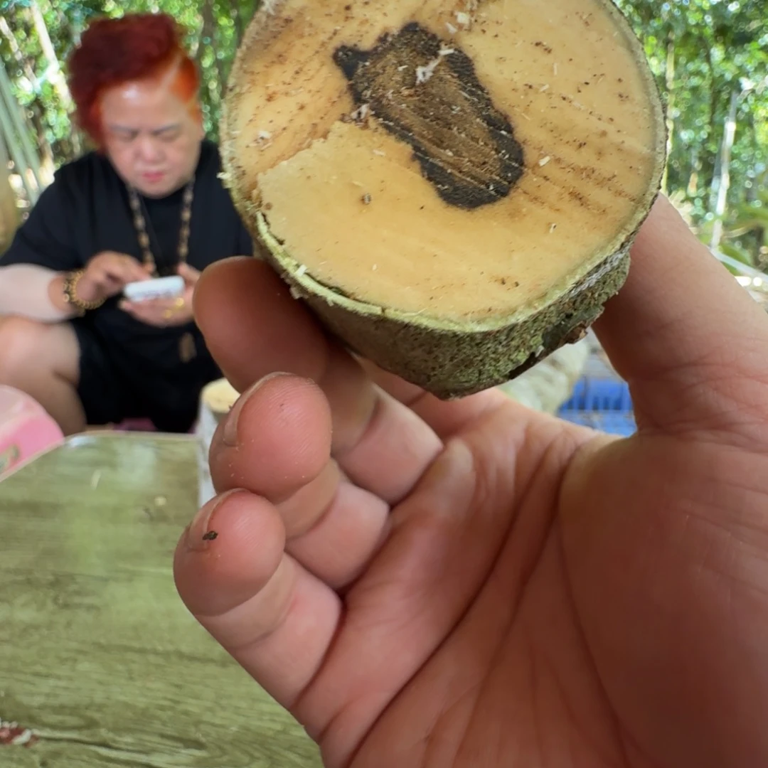 线香奇楠沉香原木