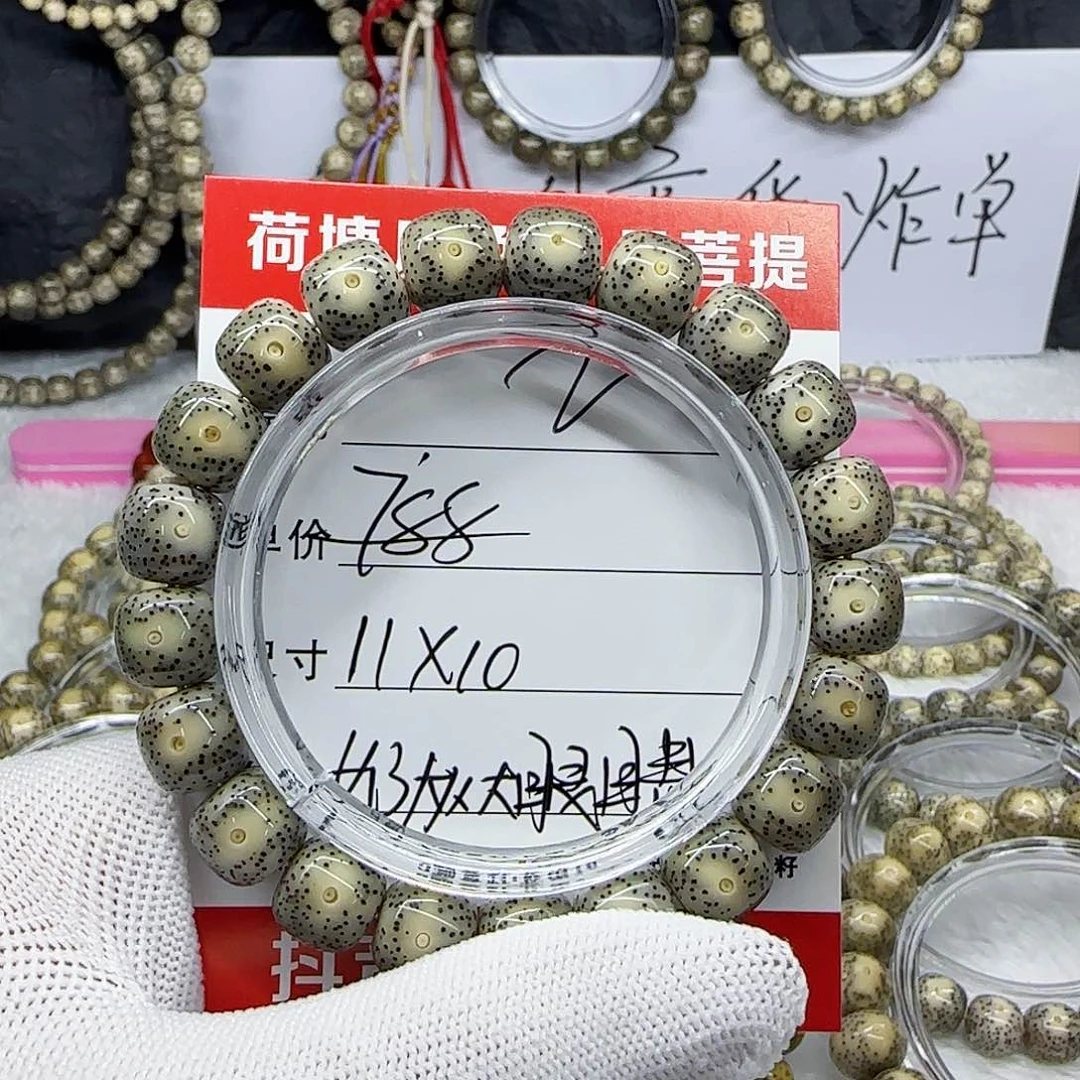海南荷塘星月菩提2