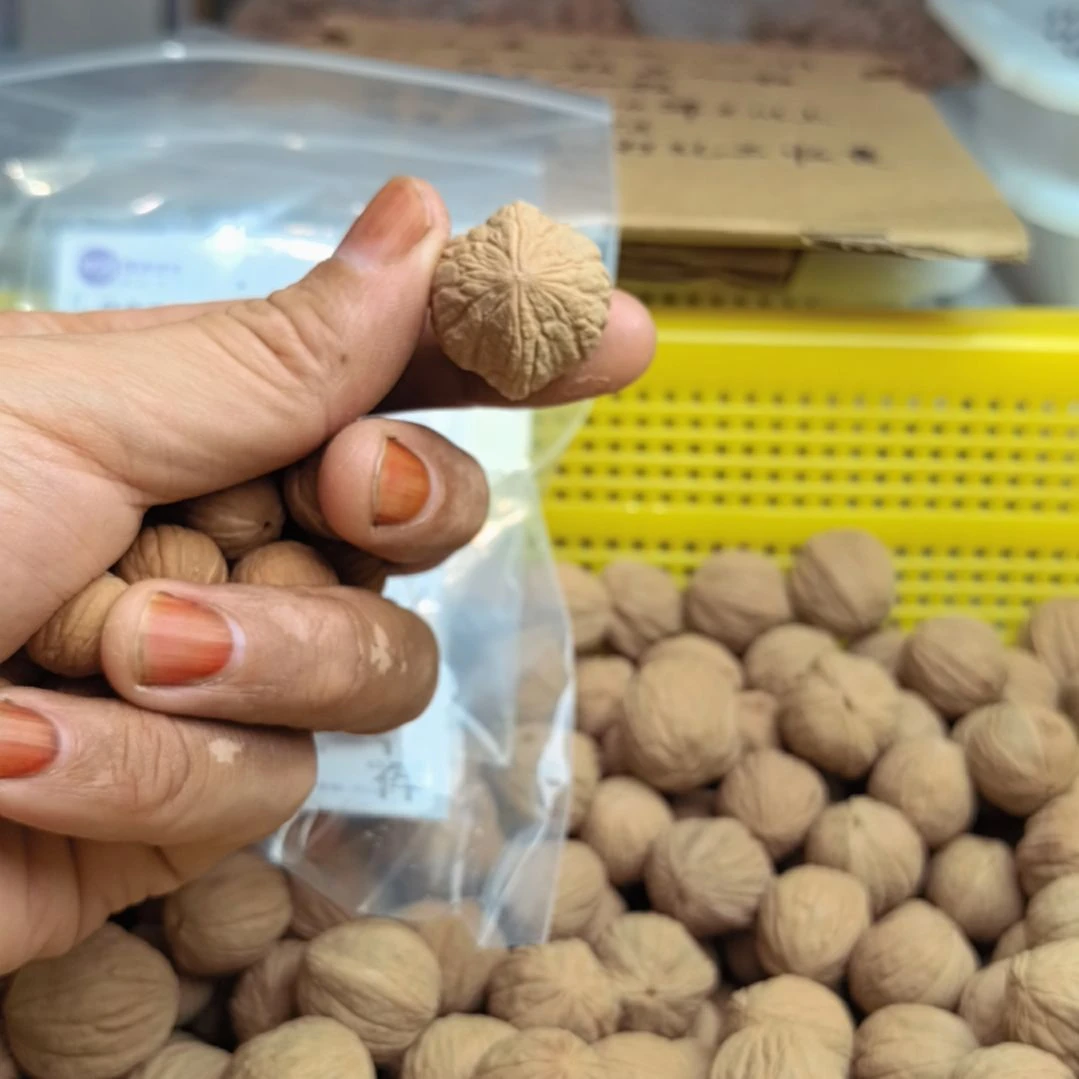 刘***备吊坠猴头核桃大灯笼散籽23.5肚30颗