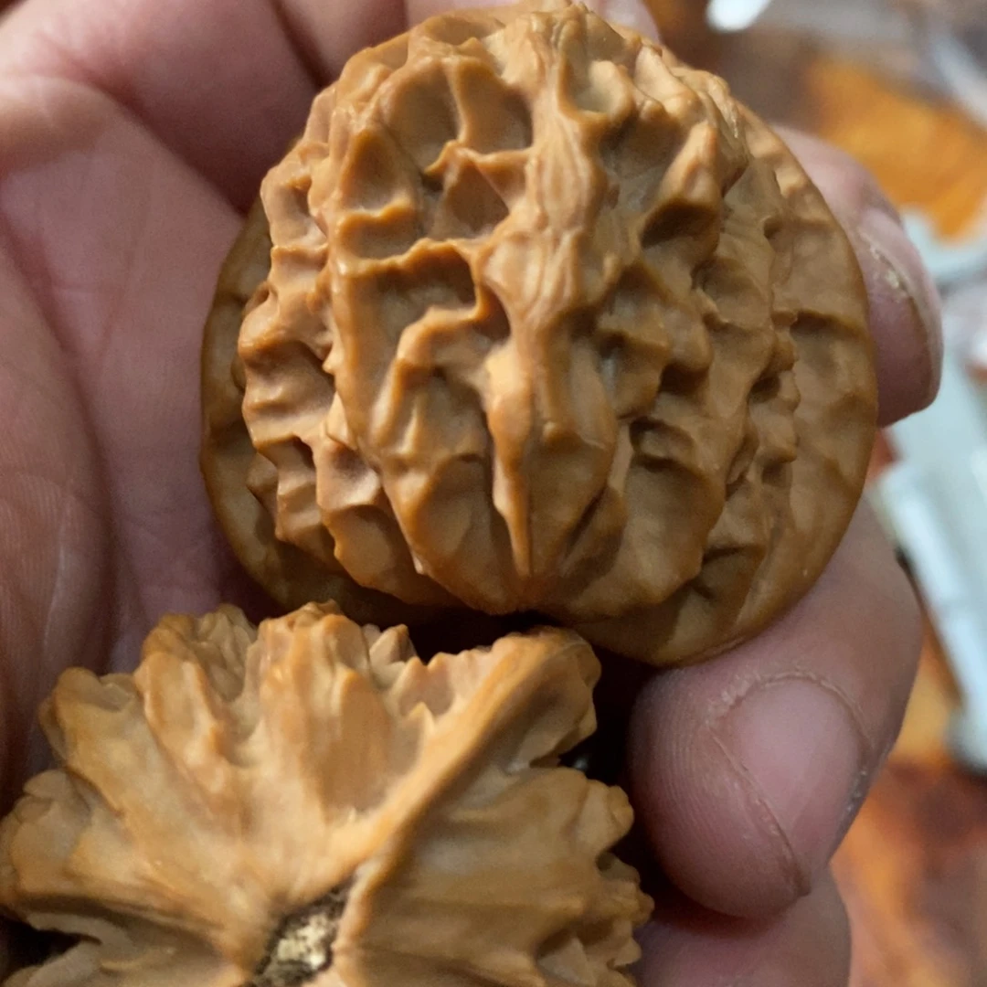 秦岭南北区有什么