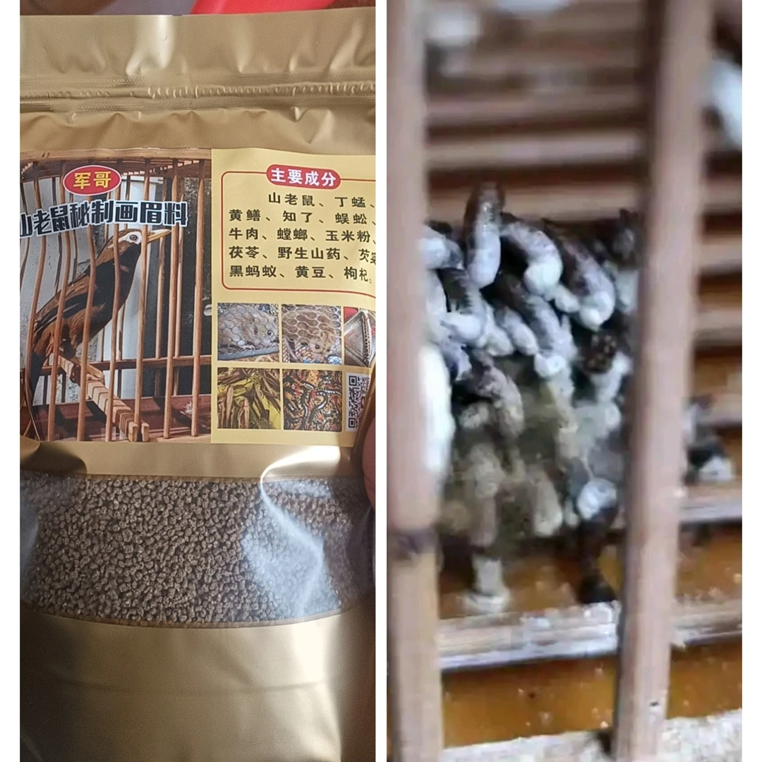 山老鼠秘制画眉打口料