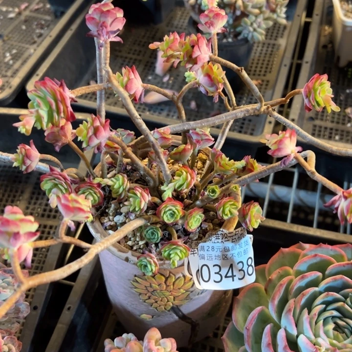 幸运的是我还没遇到过