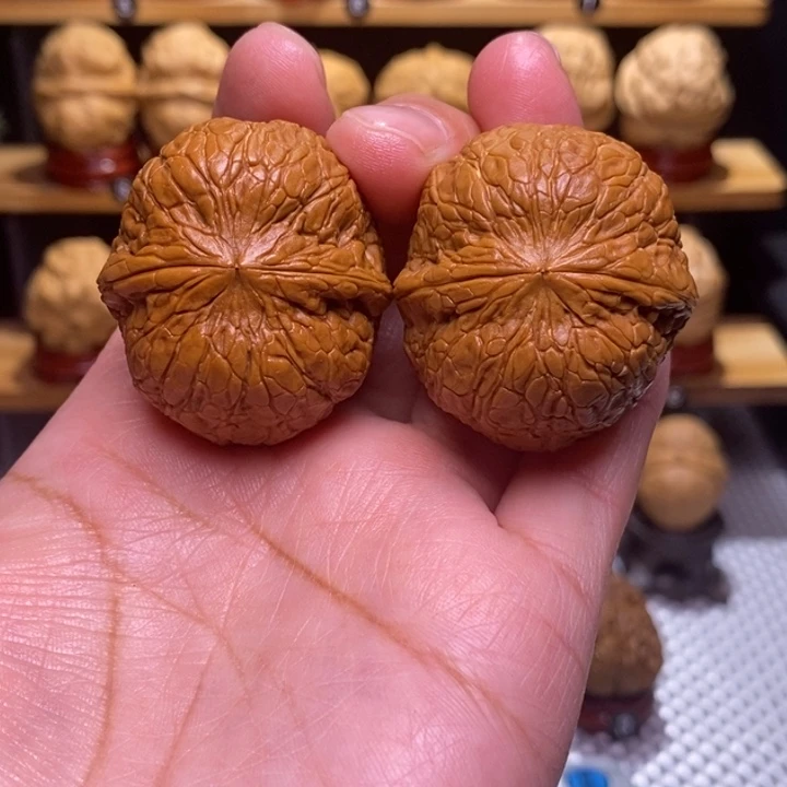 木质类云铁玄蛊地甲81号