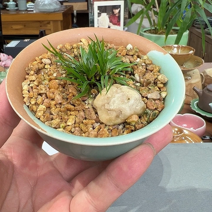 赤*龙泉敬悦 玖玥茶器