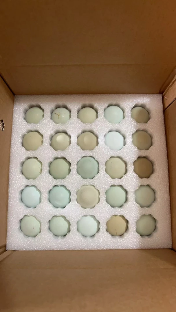 小鸭推荐苏禽全绿壳土鸡蛋新鲜自然散养顺丰发货农家