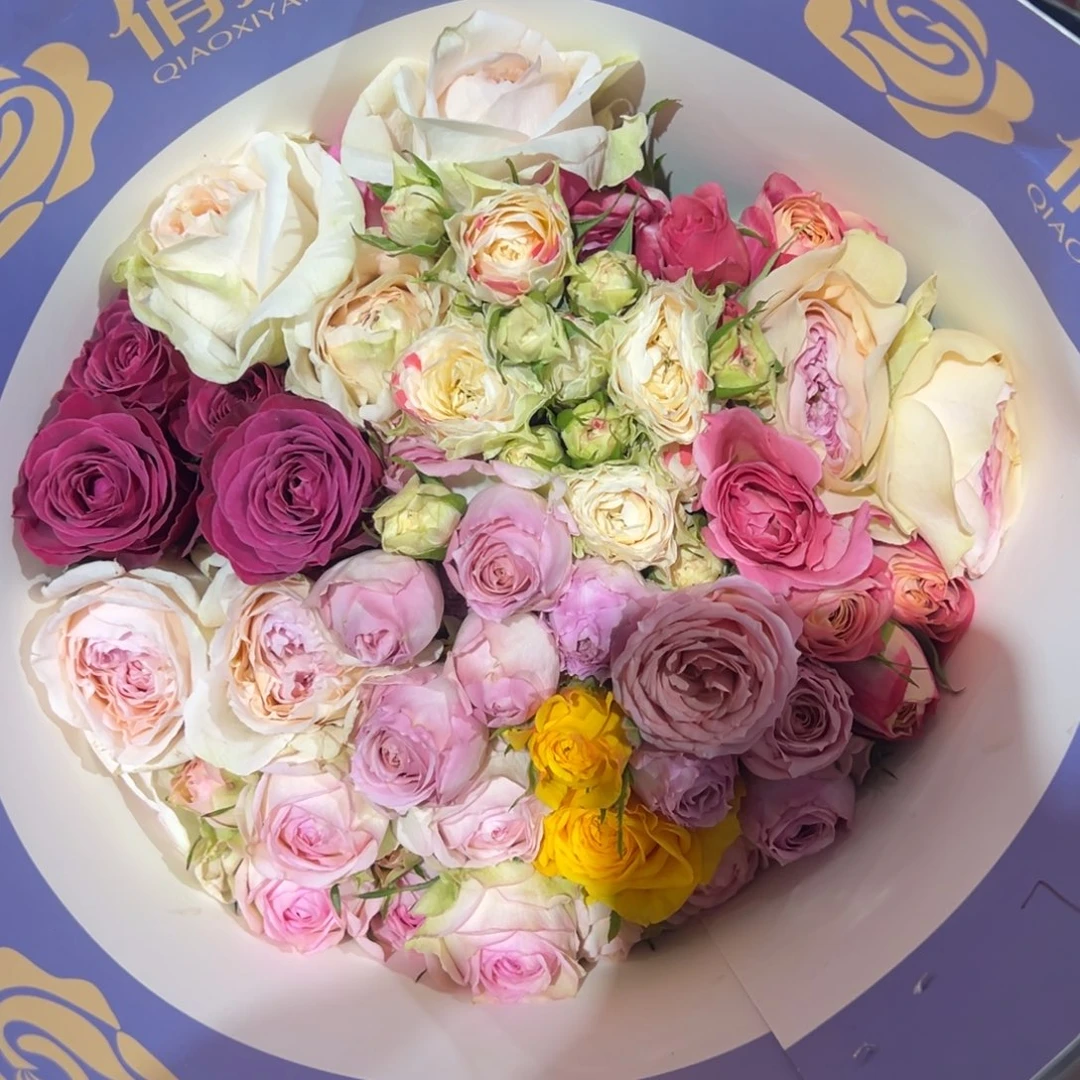 俏夕阳 混多 10支装 拍满三单包邮