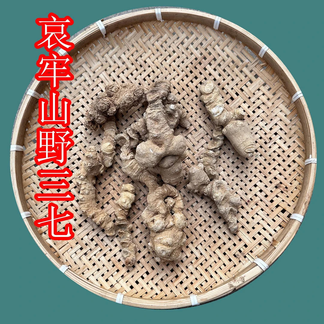 云南哀牢山野三七精品干货中药材