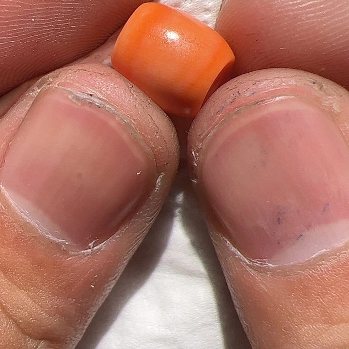 香榧木在家了一个