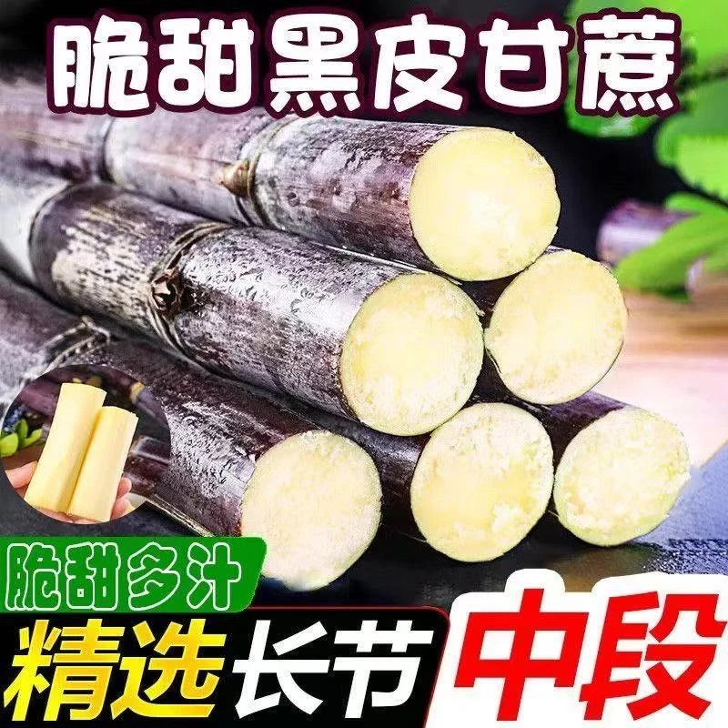 江西黑皮甘蔗应季新鲜现砍脆甜多汁水果甘蔗