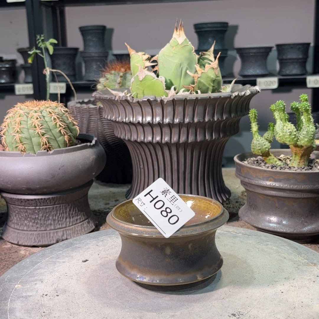 景德镇手工素里你就9高5.5