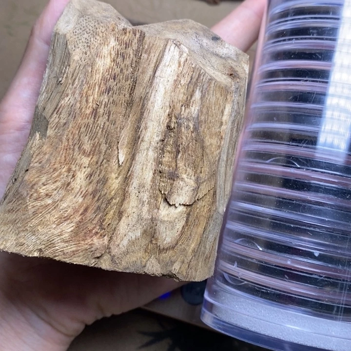 海南。           61克