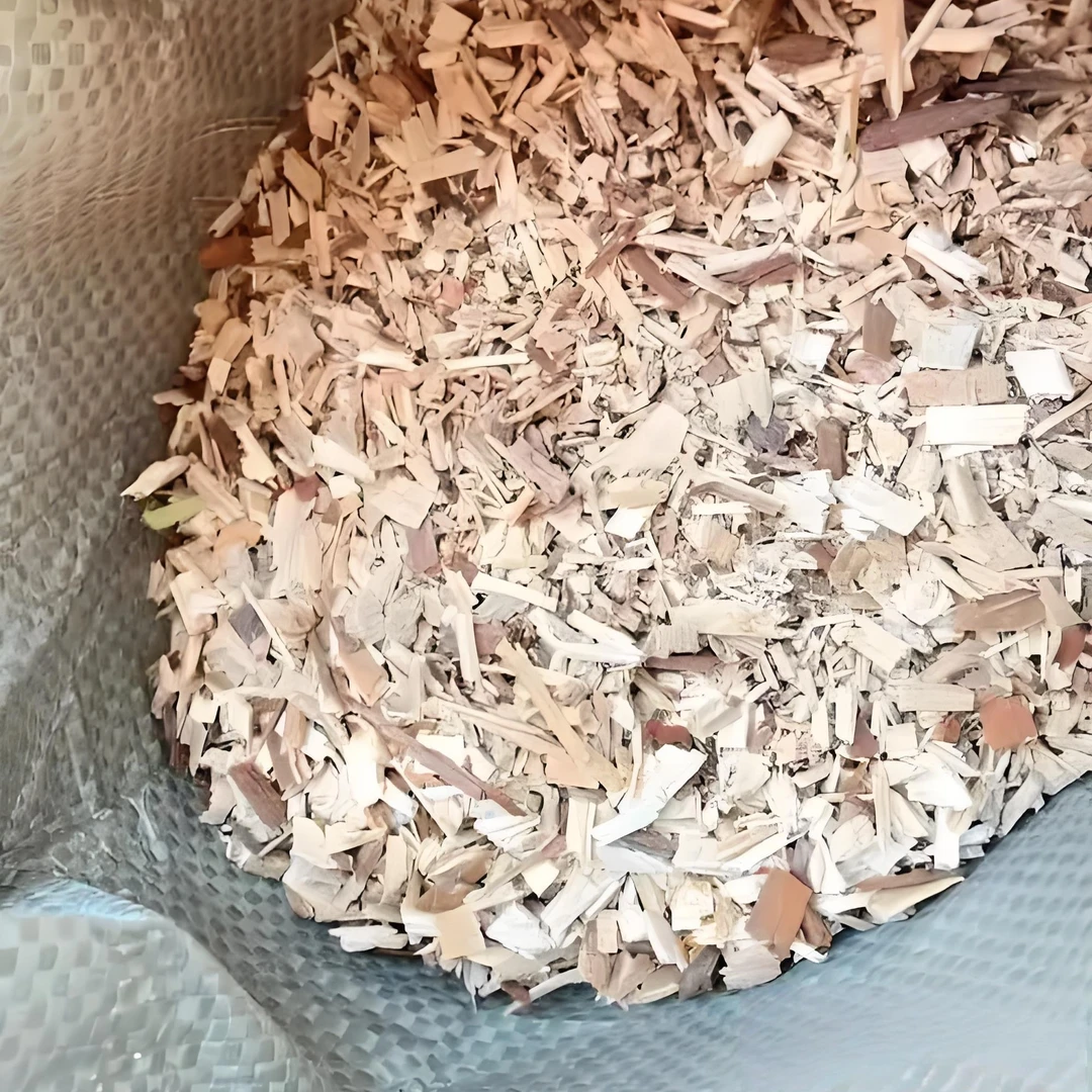 种植铁皮石斛杉木屑