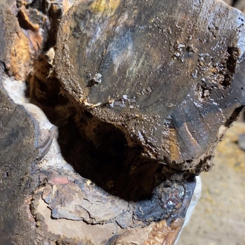 【闪购商品】把件贡木c****r私人订制