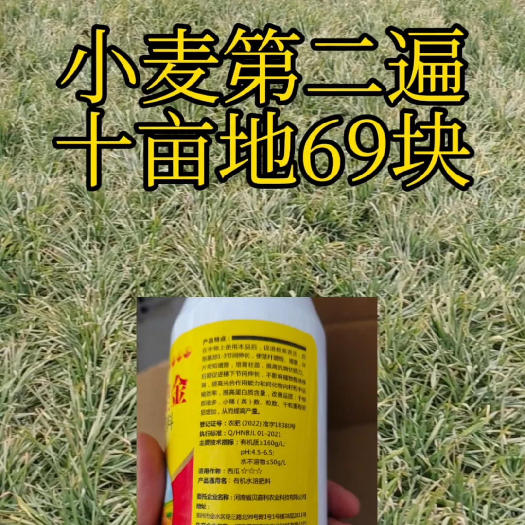 小麦第二遍营养液