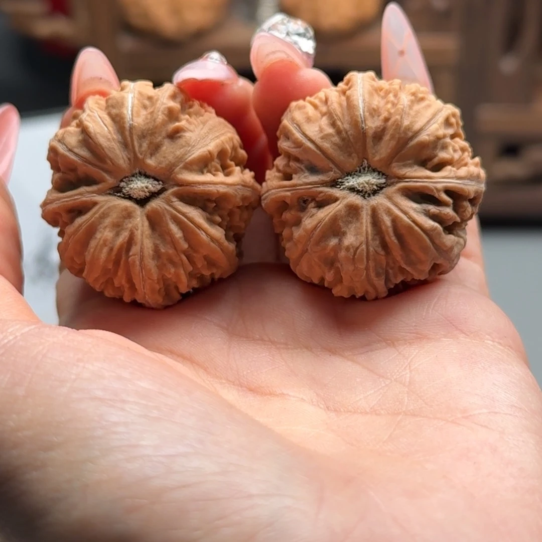 文玩核桃把件楸百核186