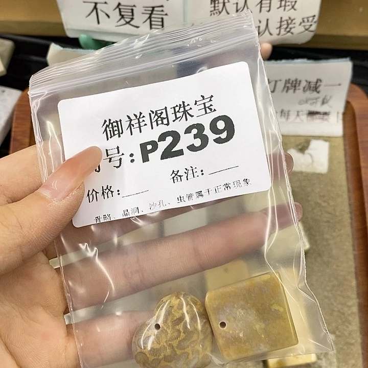 硅化珊瑚（珊瑚玉）未镶嵌颈饰腿***九