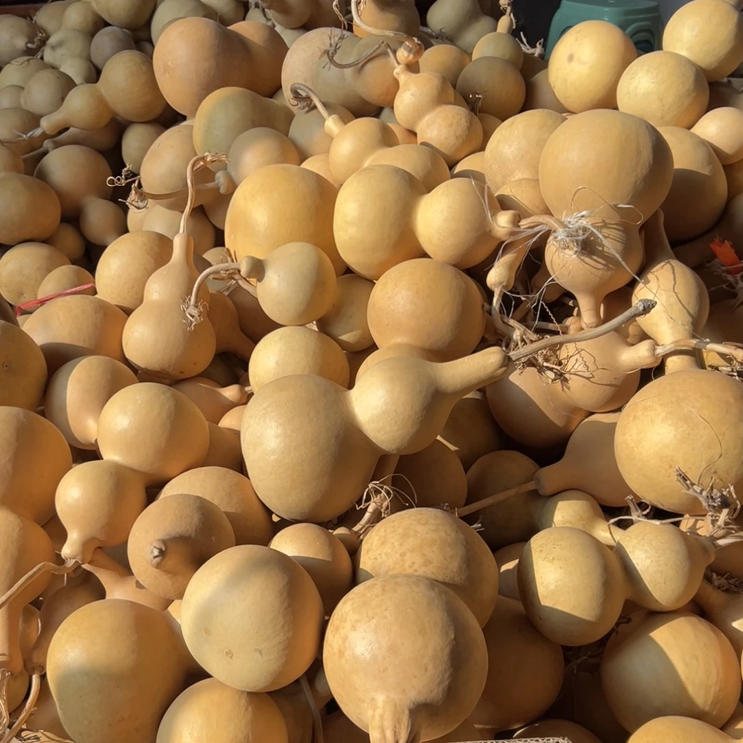 游***️有机玻璃故就葫芦